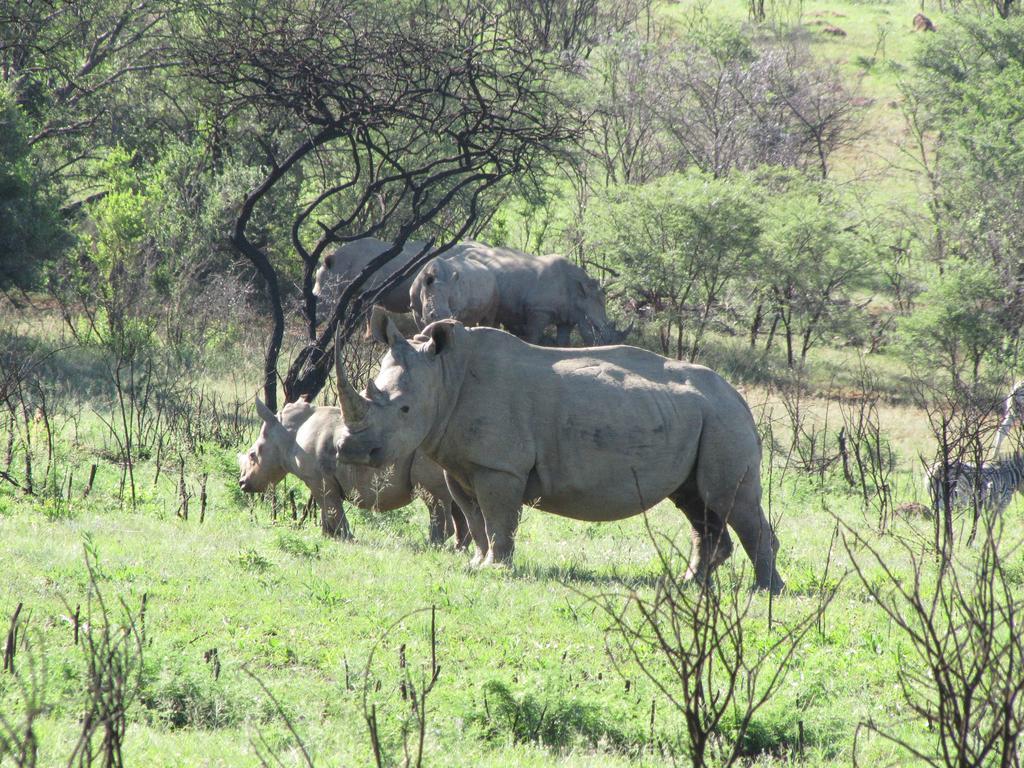 Spion Kop Lodge Winterton Bagian luar foto