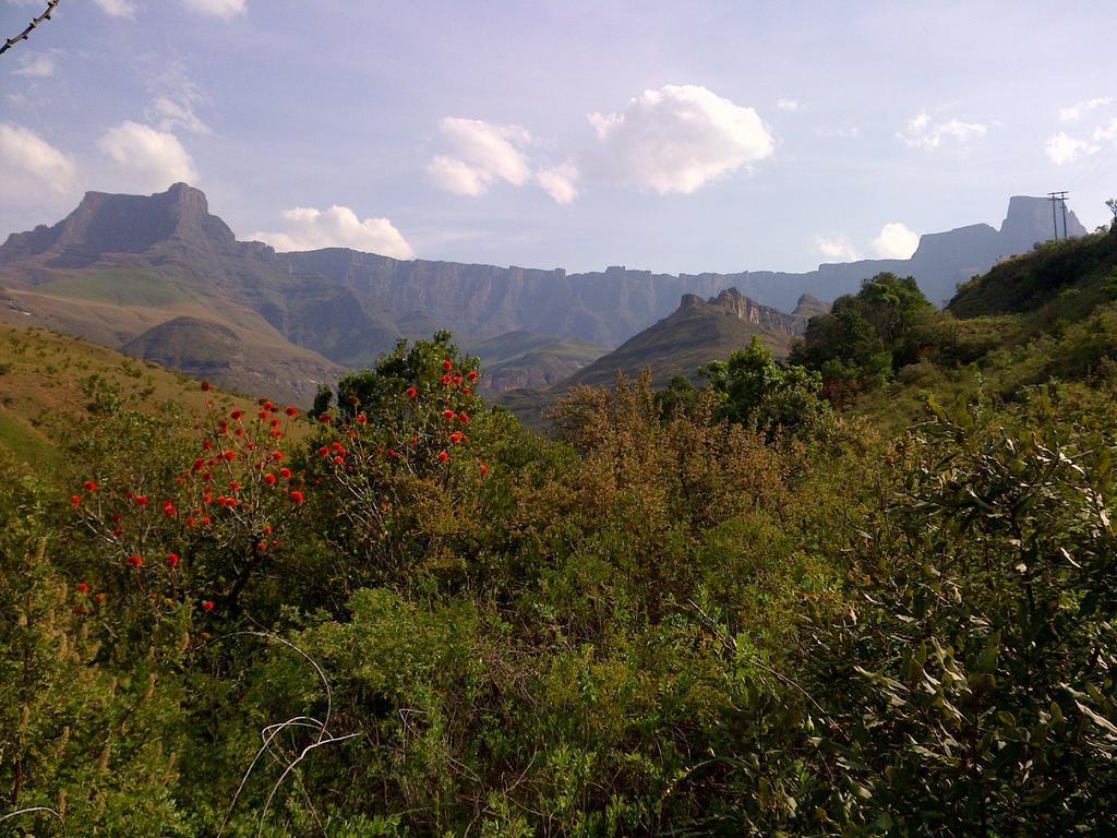 Spion Kop Lodge Winterton Bagian luar foto