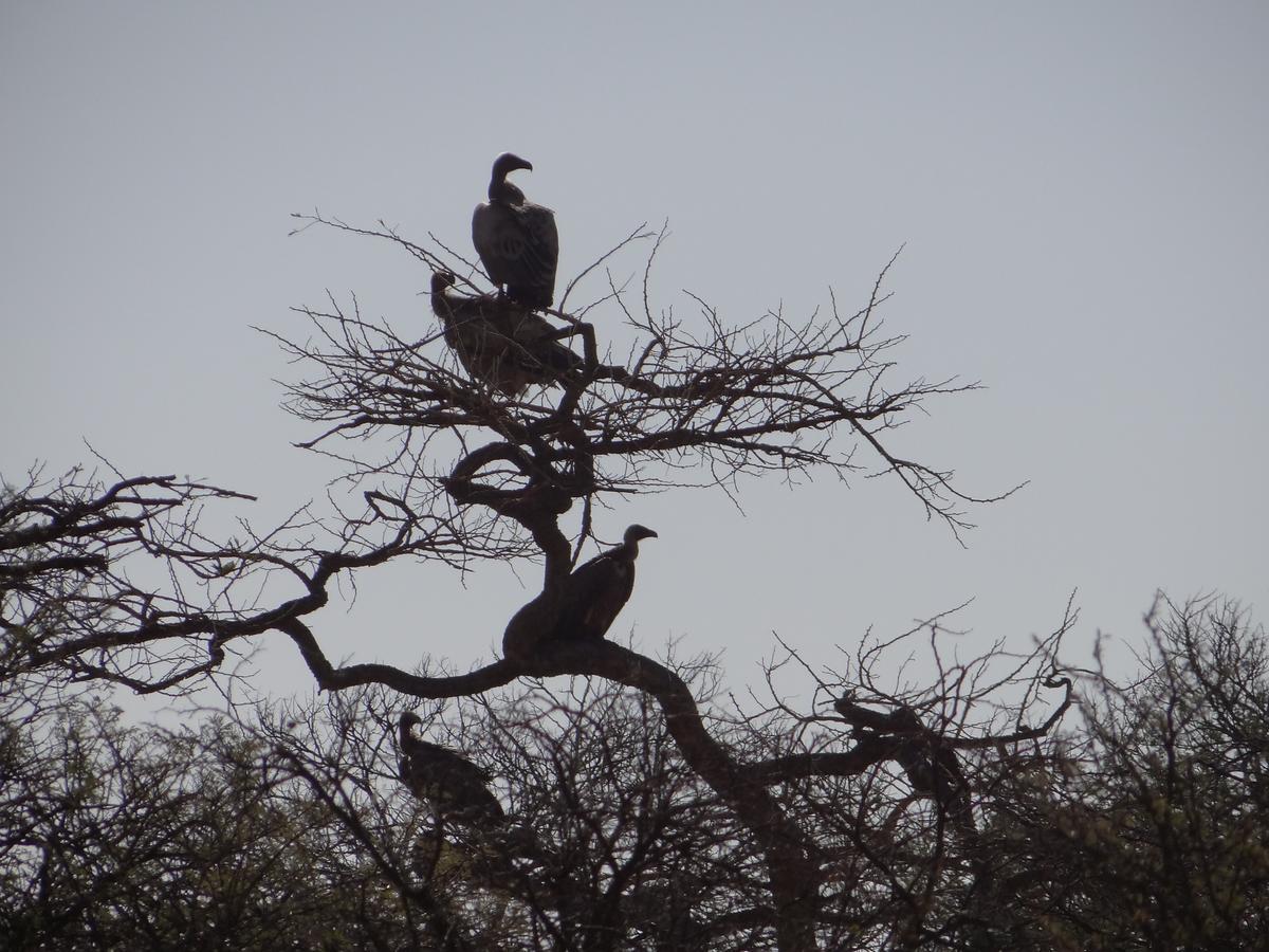 Spion Kop Lodge Winterton Bagian luar foto
